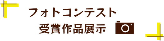 フォトコンテスト受賞作品展示